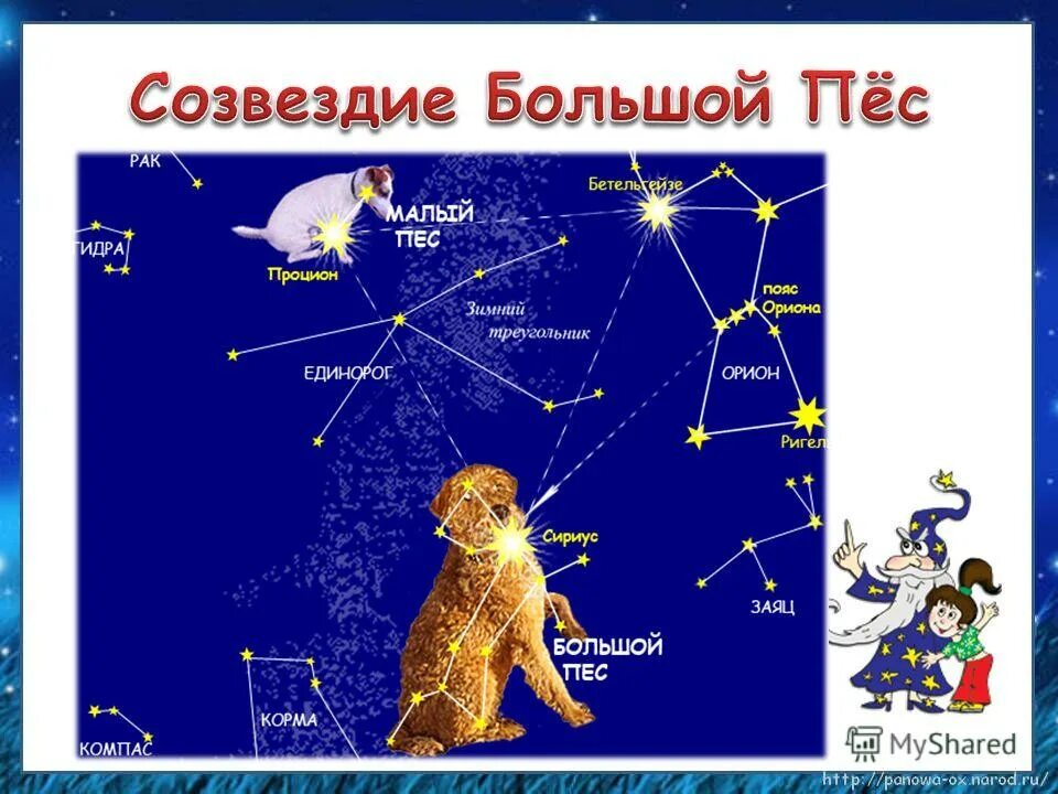 Созвездия 3 класс. Созвездие. Созвездие собаки. Созвездие пса. Созвездия картинки.