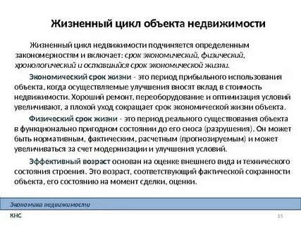 Срок экономической жизни
