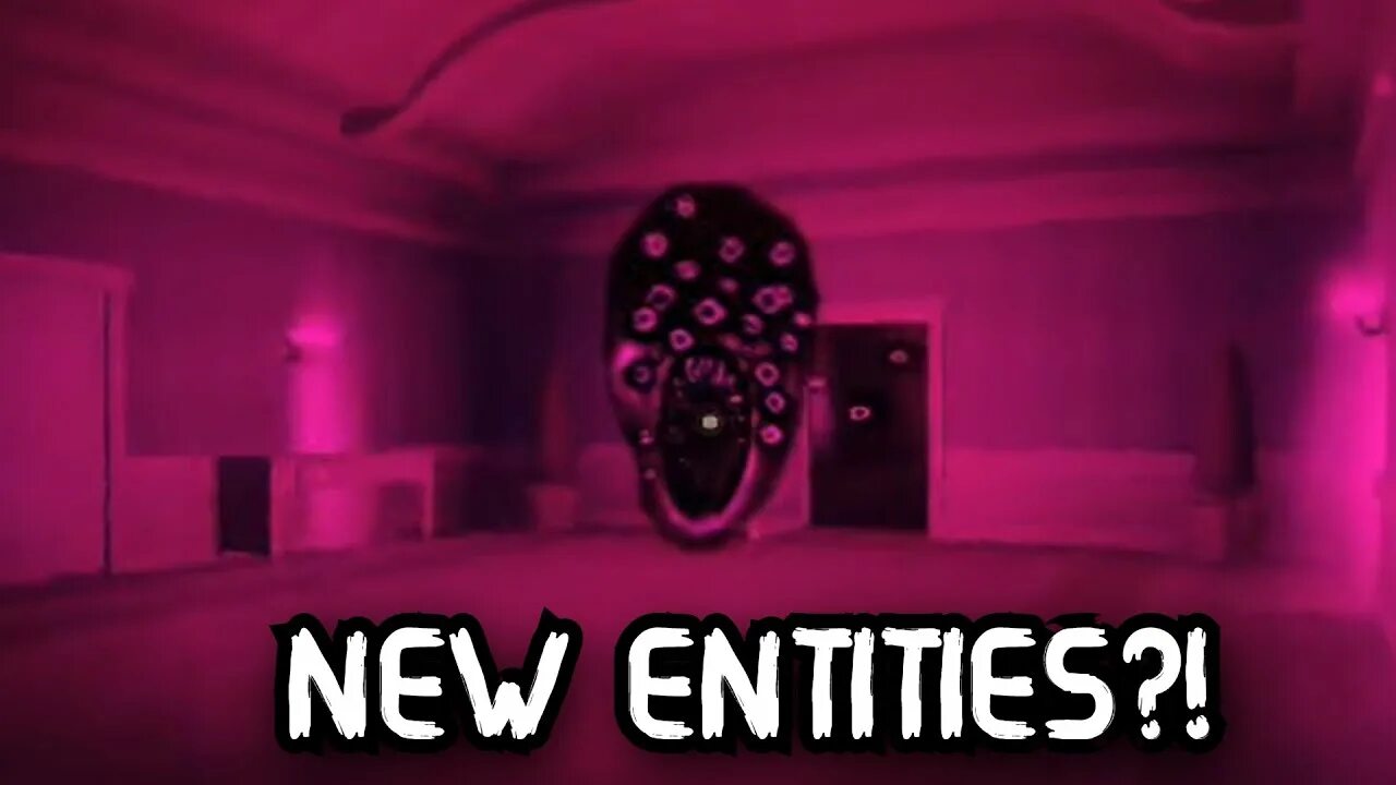 New entity
