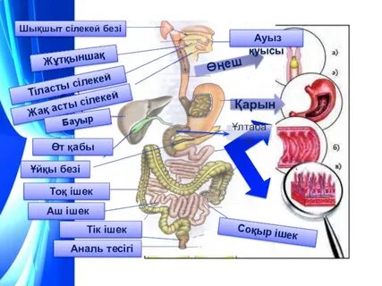 Құбыжықтармен жыныстық қорқынышты бейнелер