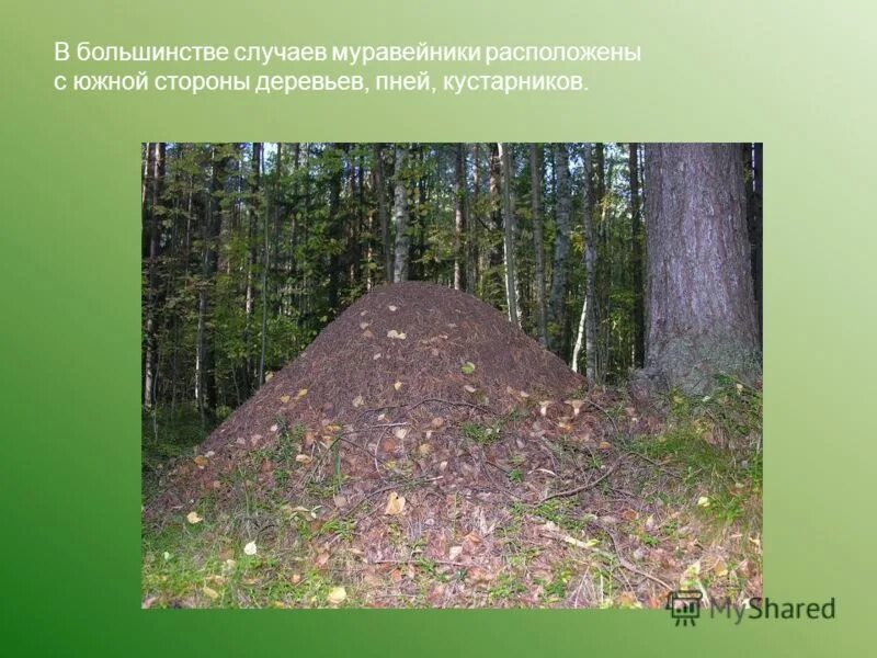 источник заражения туберкулезом является. в большинстве случаев основным. эффект отклонения торговли пример. Qотд qпол. в большинстве случаев основным.