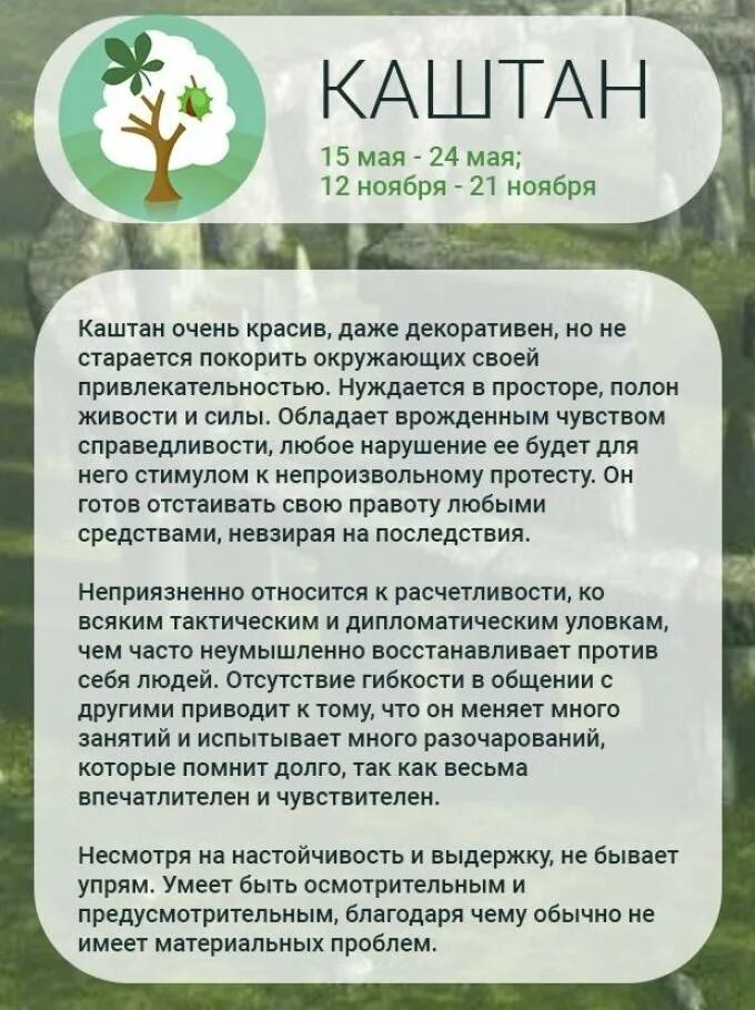 Гороскоп деревьев по дате рождения. Гороскоп друидов. гороскоп друидов по деревьям. друиды гороскоп деревьев. гороскоп друидов по деревьям по дате рождения.