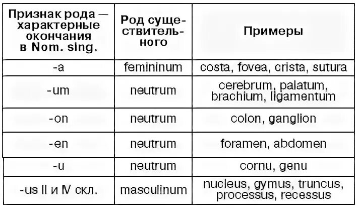 Крепкий латынь. Род в латинском языке таблица. Как определить род в латыни. Определение рода в латинском языке. Как определить род существительного в латинском.