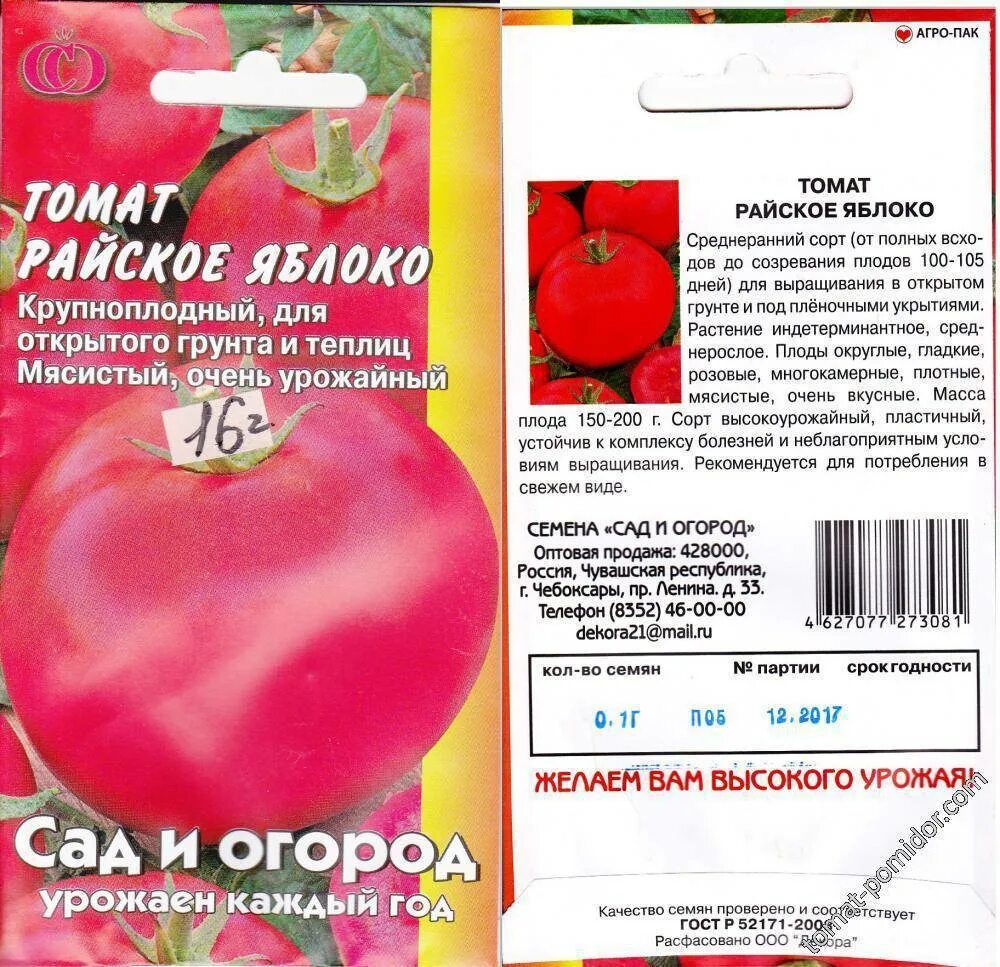 Томаты яблочные описание сорта. Сорт томата райские яблочки. сорт помидор райское яблоко. сорт помидор райские яблочки. томаты сорта райское яблоко.