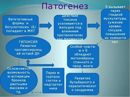Патогенез перегрузок