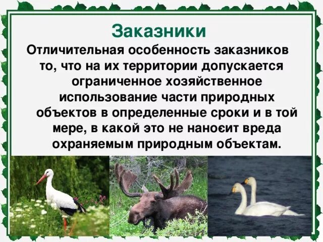 Различия заповедника и национального парка. Заповедники и заказники. Заповедник заказник национальный парк. Особенности заказников. Заказник и заповедник отличия.