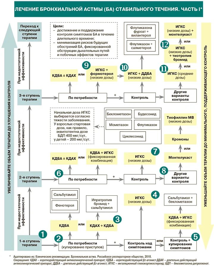 Чем лечить бронхиальную астму у взрослых. Бронхиальная астма клинические рекомендации 2021. Терапия по Требованию при бронхиальной астме. Схема лечения бронхиальной астмы. Схема терапии бронхиальной астмы.