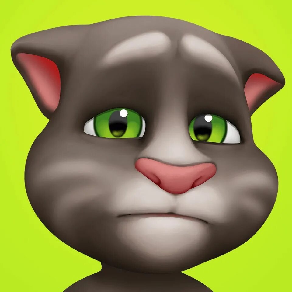 Что случилось с автором мой говорящий том. Talking Tom Cat. My talking Tom 2. Talking Tom 2010. Talking Tom 2013.