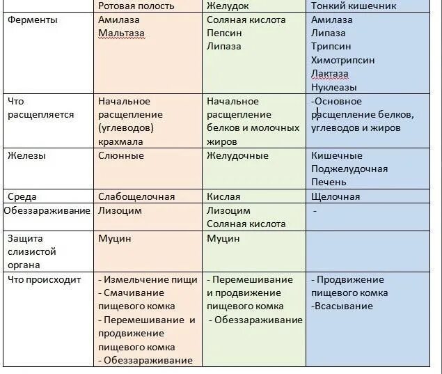 Пищеварение в ротовой полости желудке и кишечнике. Таблица по биологии 8 класс пищеварение в желудке и кишечнике. Пищеварение в ротовой полости таблица. Пищеварительные процессы в ротовой полости. Ферменты желудка таблица.