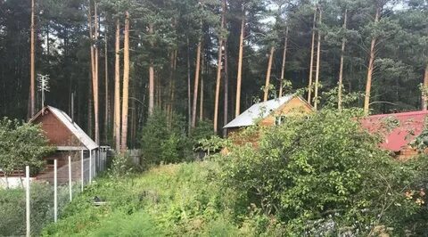 Поселок медный