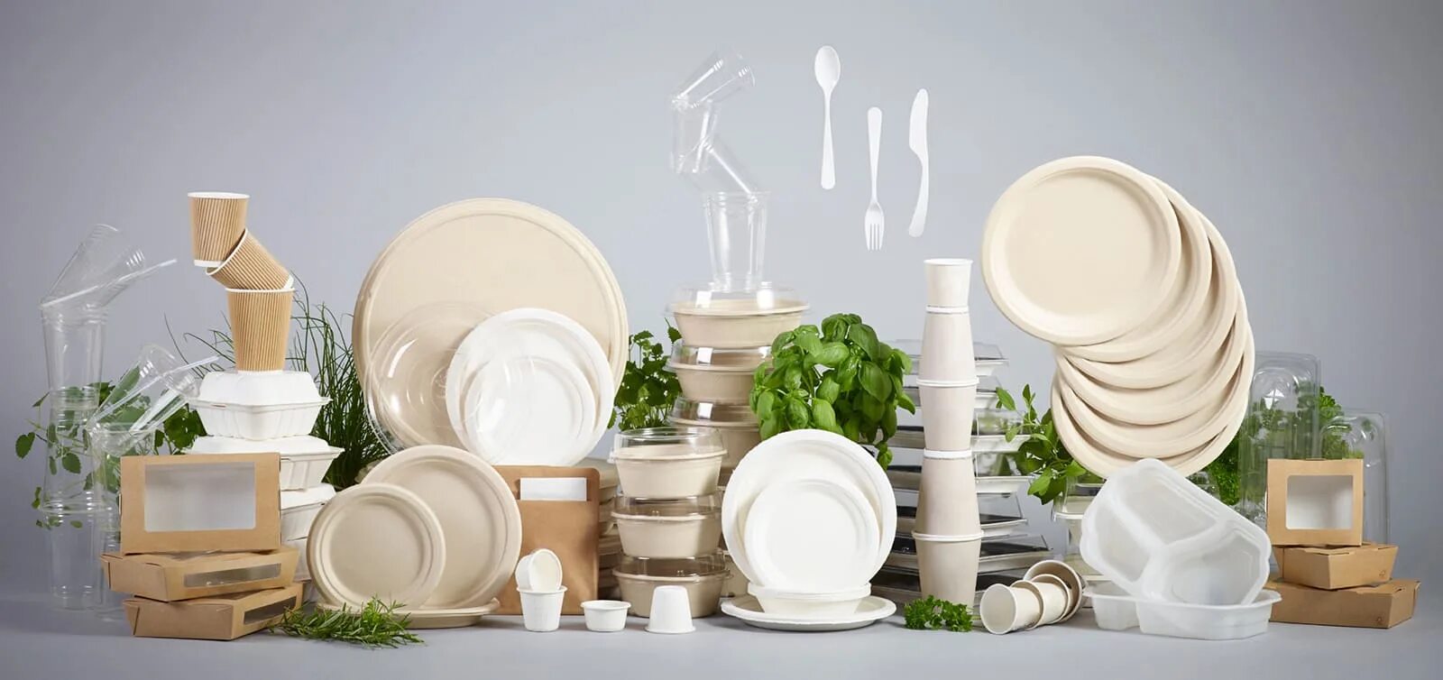 Одноразовая посуда. Пластиковая посуда. Одноразовая посуда и упаковка. Биоразлагаемая посуда.
