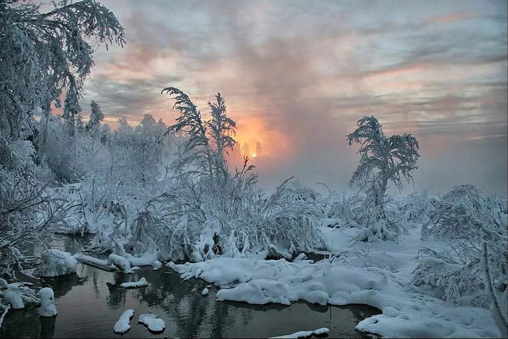 Самую суровую зиму