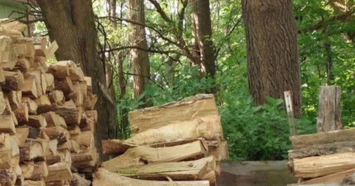 Чтобы найти кота. Найди кота. найдите кота на картинке. найди кота в дровах.