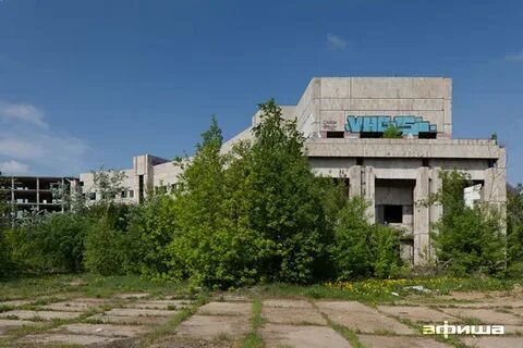 Институт иммунологии москва каширское шоссе