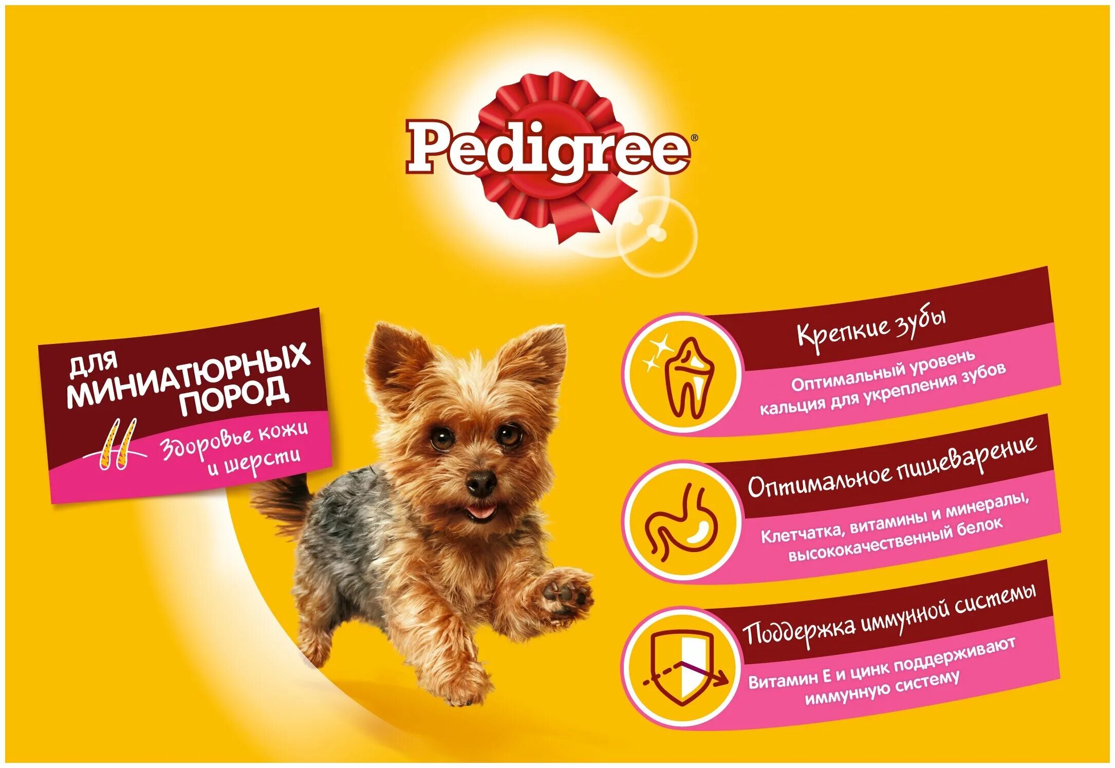 Корм для карликовые породы собак. Корм для собак pedigree для миниатюрных пород. Корм сухой для собак Педигри 600г.. Pedigree сухой корм для взрослых собак миниатюрных пород, с говядиной 600 г. Сухой корм Педигри с говядиной для миниатюрных собак.