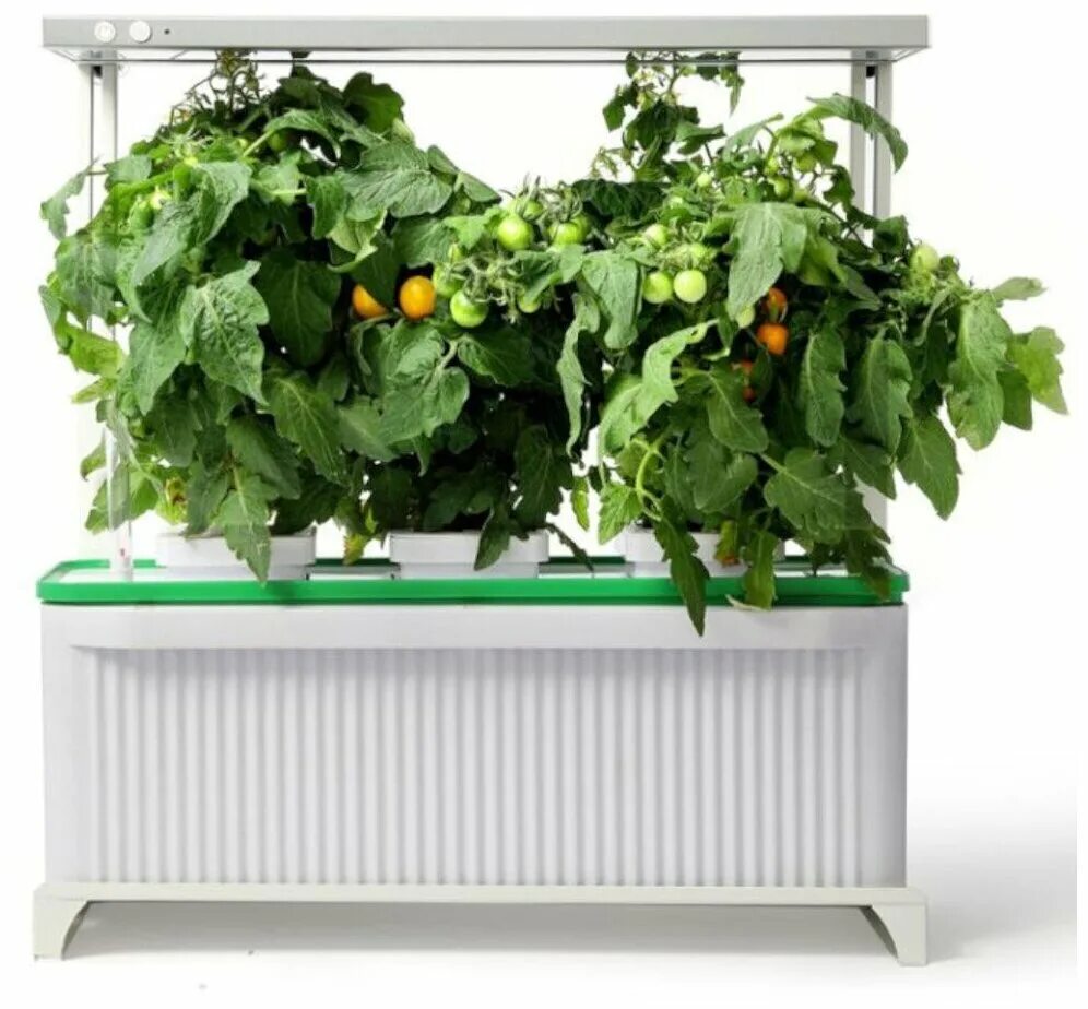 ферма гидропоника микрозелень. аэропоника grow. фитостена аэропоника. аэропоника башня. аэропоника оранжерея.