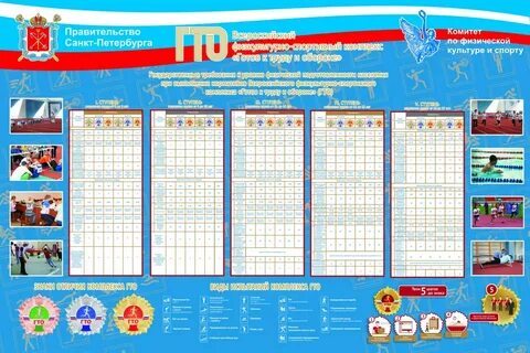 Спортивная школа требования