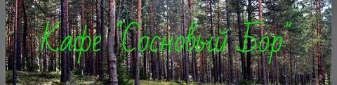 Сосновый бор тагил