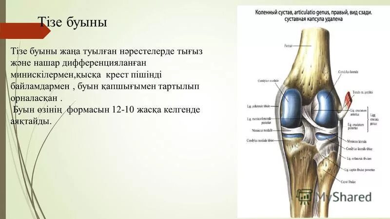 Строение аккумулятора автомобиля. Реферат батареи. Жаңа буын аккумуляторлары. Жаңа буын аккумуляторлары презентация. 5 кл.