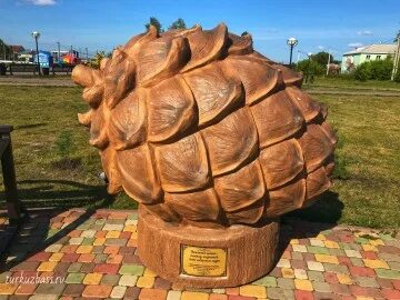 Город шишка