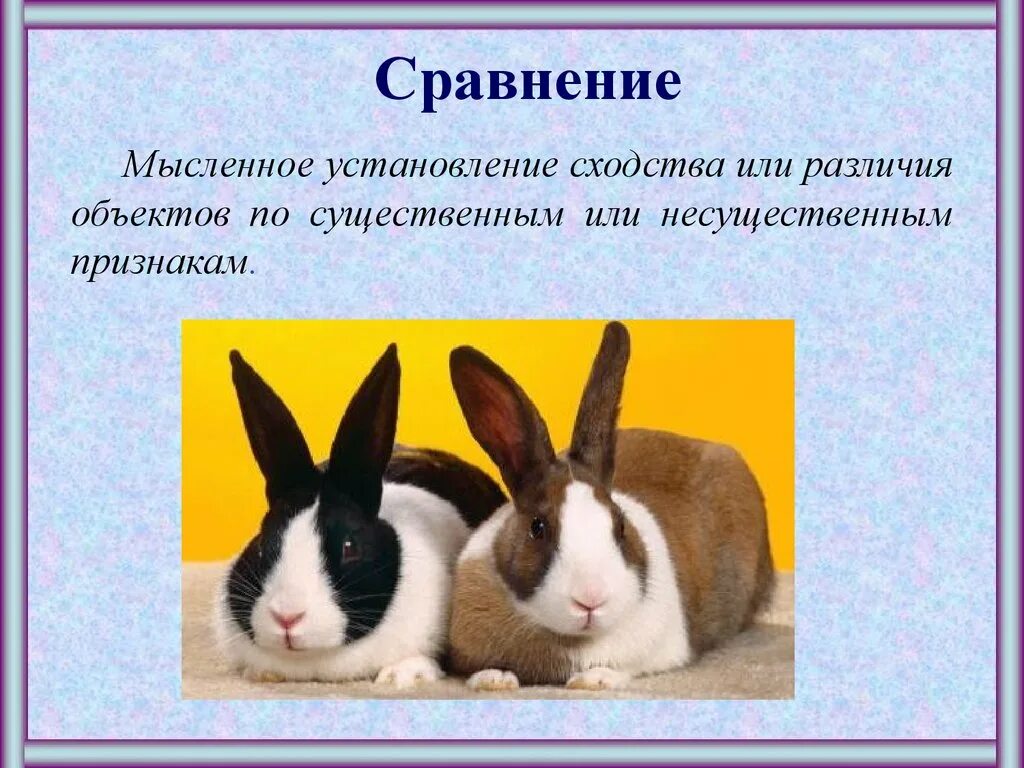 Есть сходства и различия. Сходства и различия предметов. Сходства и различия объектов. Сравнение мысленное установление. Существенные и несущественные признаки объектов.