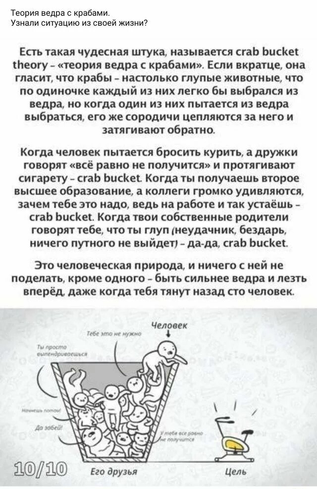 Теория крабов. Теория ведра с крабами. Ведро с крабами психология. Эффект ведра с крабами. Крабовое ведро.