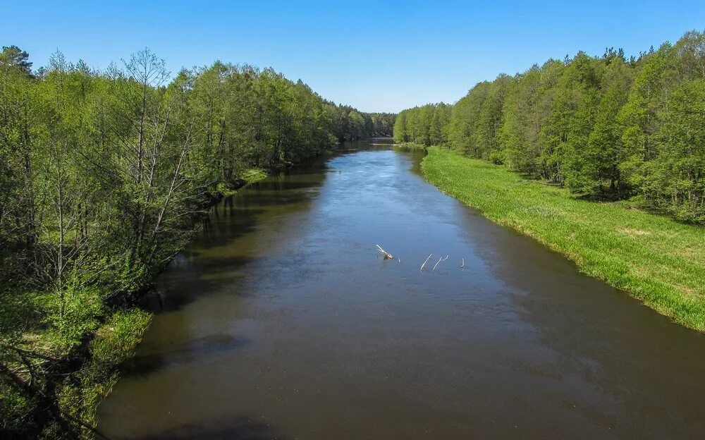 усса (приток немана). река лохозва фото. река гати. левый приток реки щара 4 буквы. нерис приток немана.