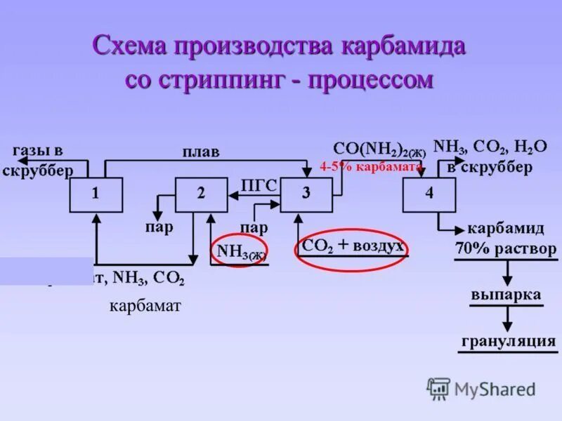 Процесс 312