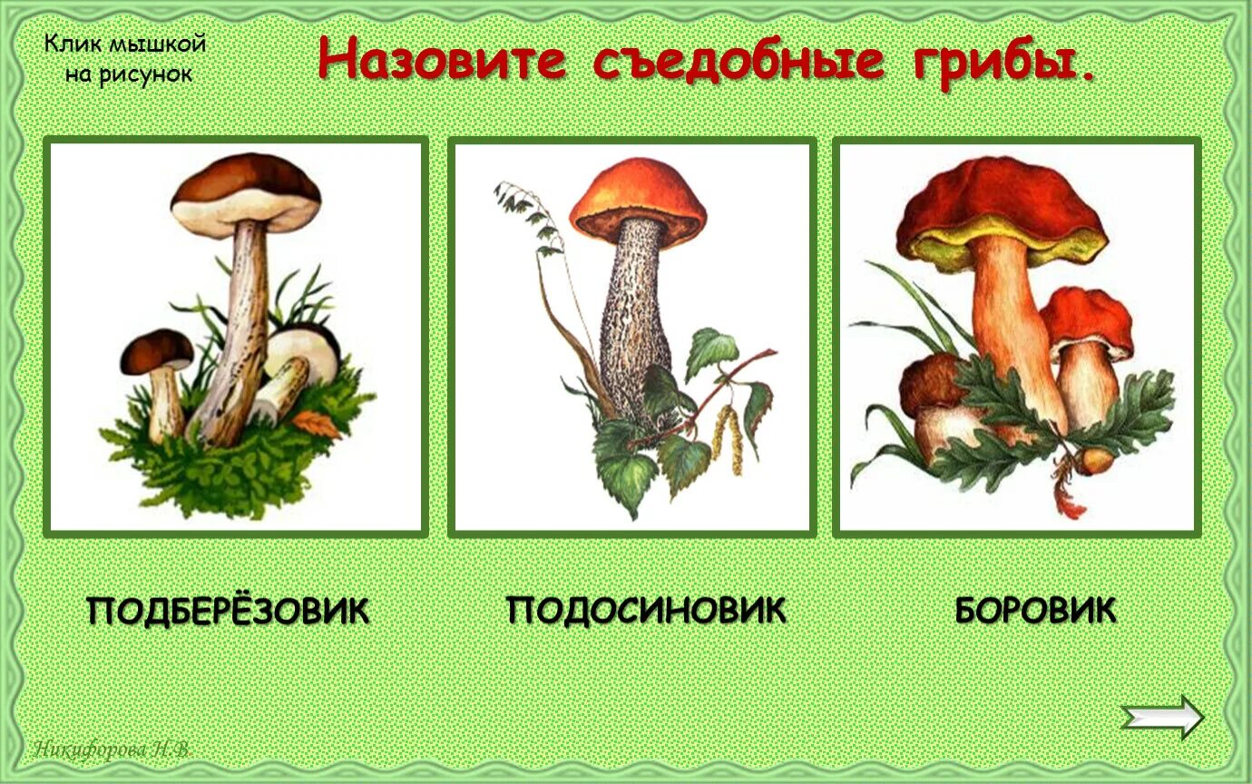 Подберезовик подосиновик боровик. Боровик и подосиновик. Боровики,подберёзовик,подосиновик. Подосиновик и подберезовик. Подберезовик и Боровик.