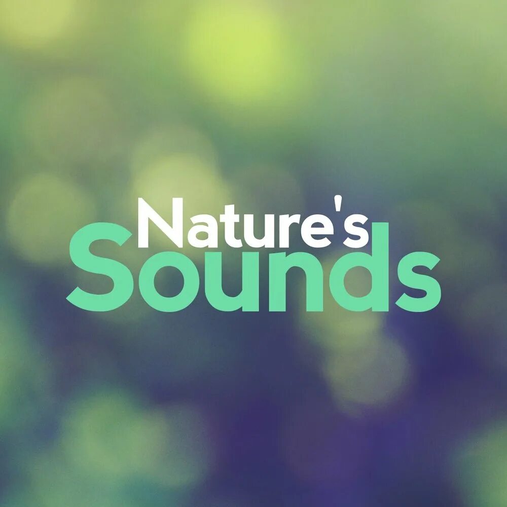 Sound. Woodland sounds. Sounds of nature. Sounds of nature. Natural sounds.