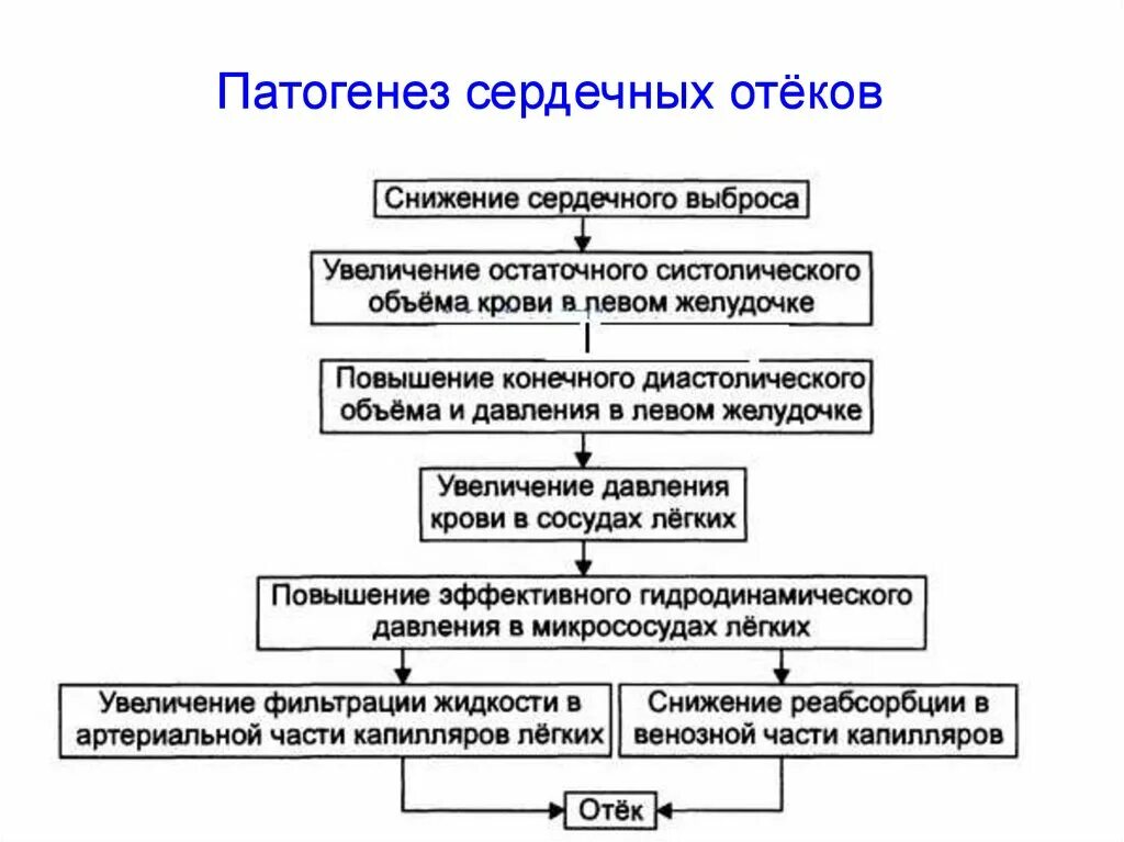 Кардиогенный отек легких патогенез. Патогенез сердечных отеков патофизиология. Кардиогенный отёк легких патогенез. Механизм сердечных отеков патофизиология. Отек легких механизм