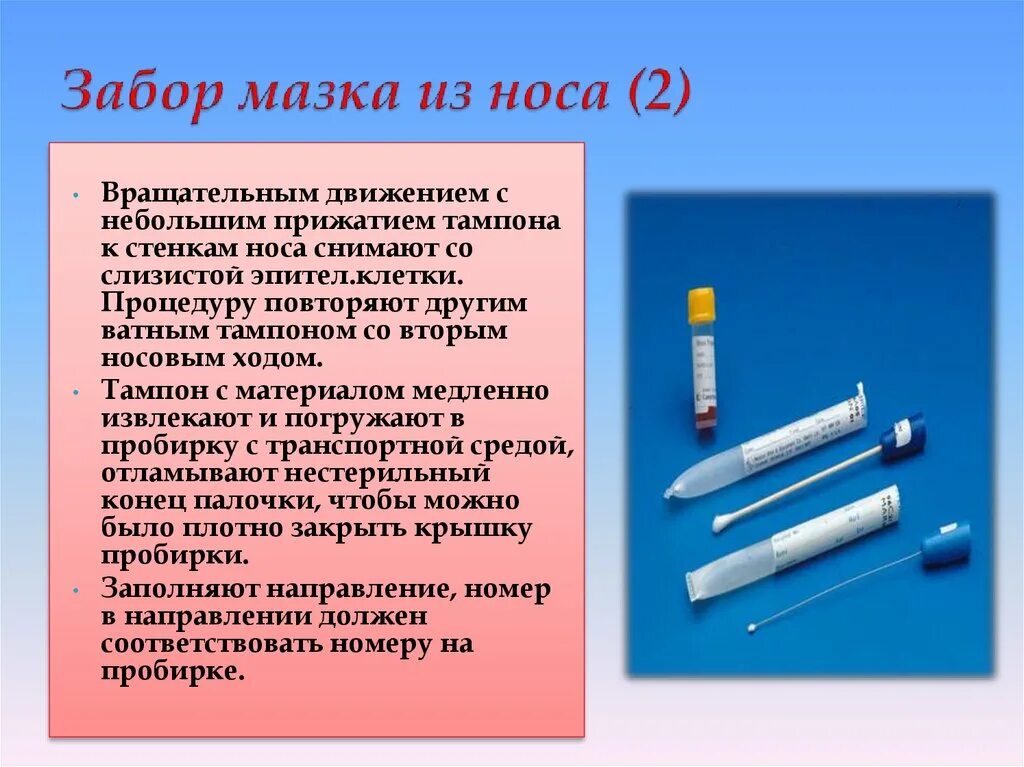 Орви ковид тест. Взятие мазка на коронавирус алгоритм. Алгоритм взятия мазка на короновирусную инфекцию. Забор мазка на коронавирус. Алгоритм мазка из носа забора на коронавирус.