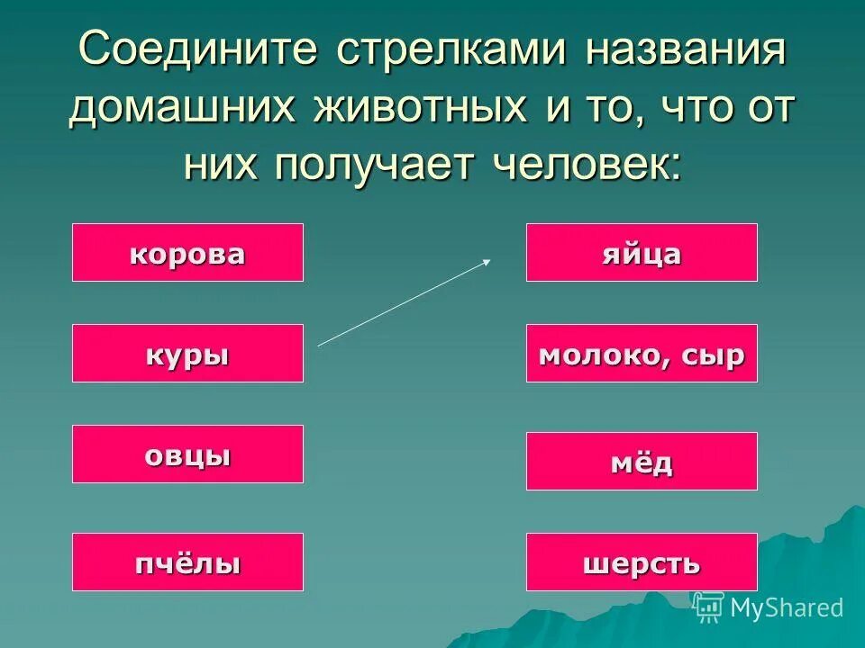 Имя стрелка. Выбери Соедини стрелками здоровье и интернет.