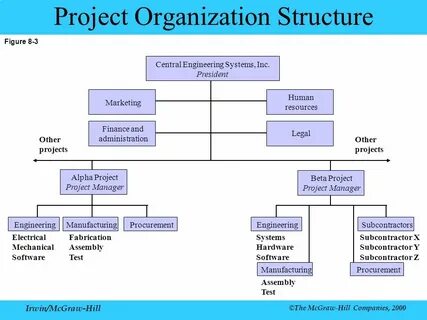 Organization are