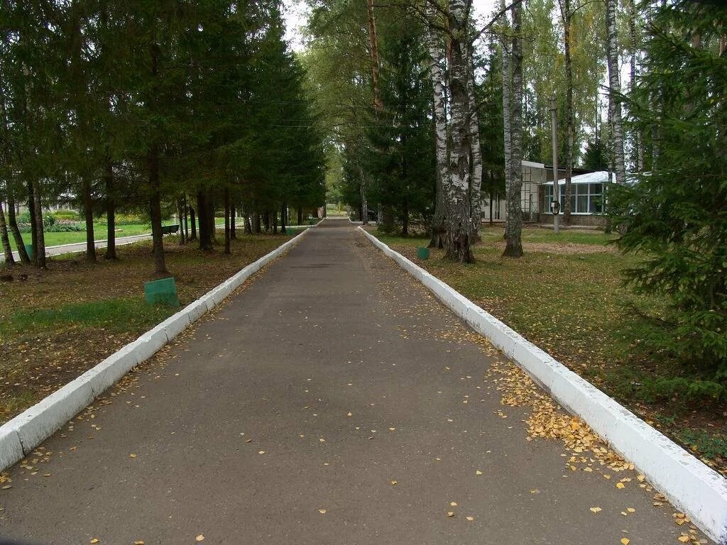 Лагерь зелёный городок Ивановская область. Костино зеленый городок Пушкинский район. Лагерь зелёный городок Московская область. Санаторий Костино зеленый городок.