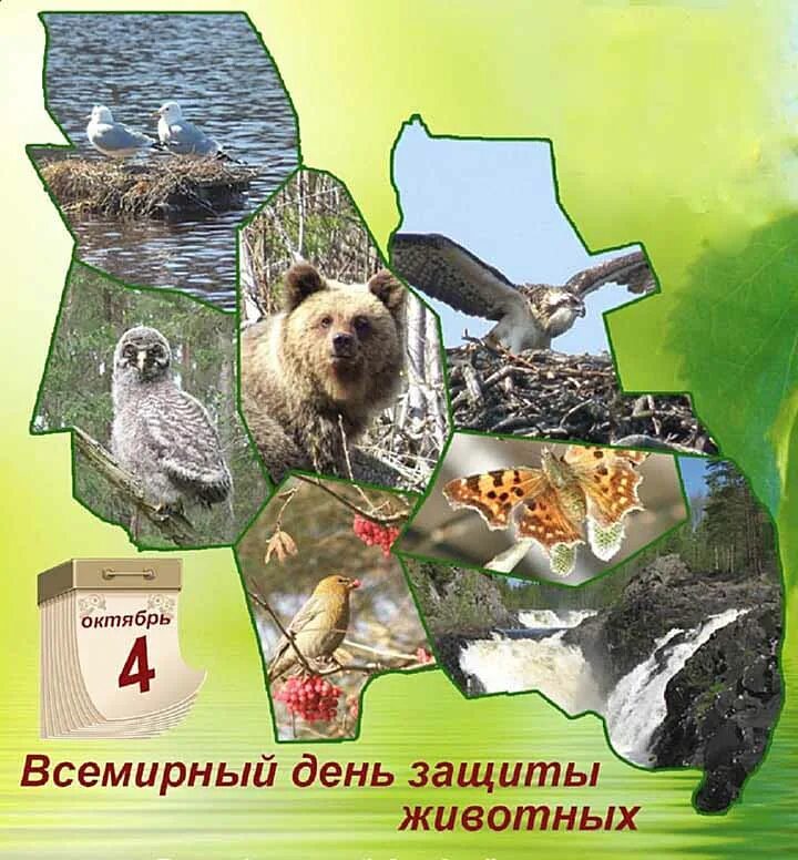 Дикие, домашние - все такие важные" 2023, Сергиевский район - дата и место прове