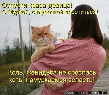 Поделом тебе