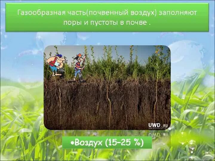 Воздух в почве. Атмосферный и почвенный воздух. Воздушная почва. Определение воздуха в почве.