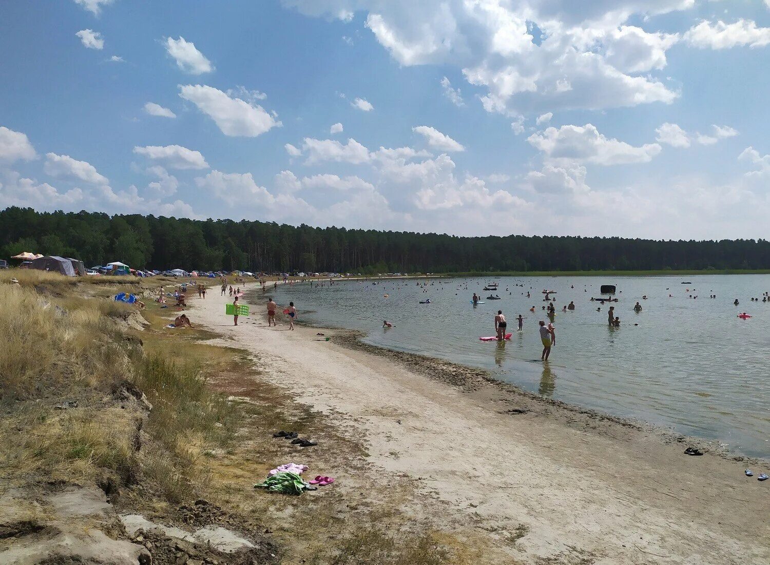 Озеро горькое новосибирская область новоключи. Парк флорида lakes park. Озеро горькое узково куртамышский р н. Озеро перешеечное алтайский край. Озеро новоегорьевское алтайский край.