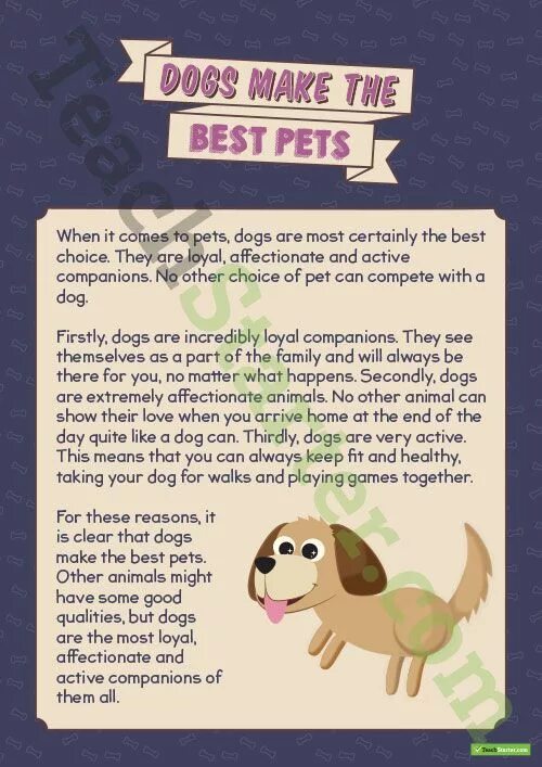 Questions about pets. Dogs reading Comprehension. Pets reading Comprehension. My Pet about Dog текст на английском. Text about Dog с заданиями для второго класса.