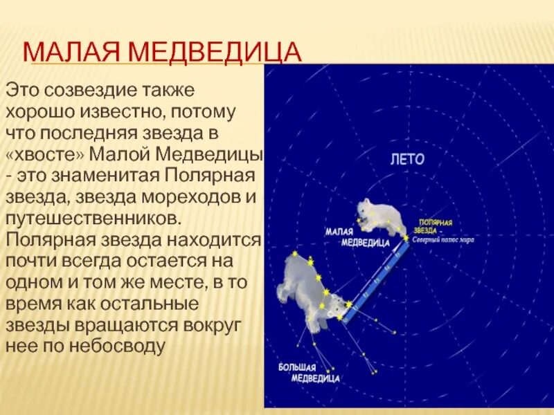 Созвездие малой медведицы какие звезды. Созвездие малая Медведица и Полярная звезда. Характеристика малой медведицы. Полярная звезда в созвездии малой медведицы. Условия видимости малой медведицы.