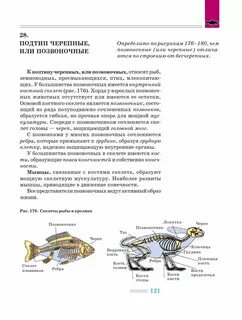 Черепные позвоночные