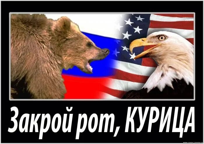 Российский медведь против американского орла. Медведь против орла США. Медведь Россия против орла США. Медведь и Орел Россия и США.
