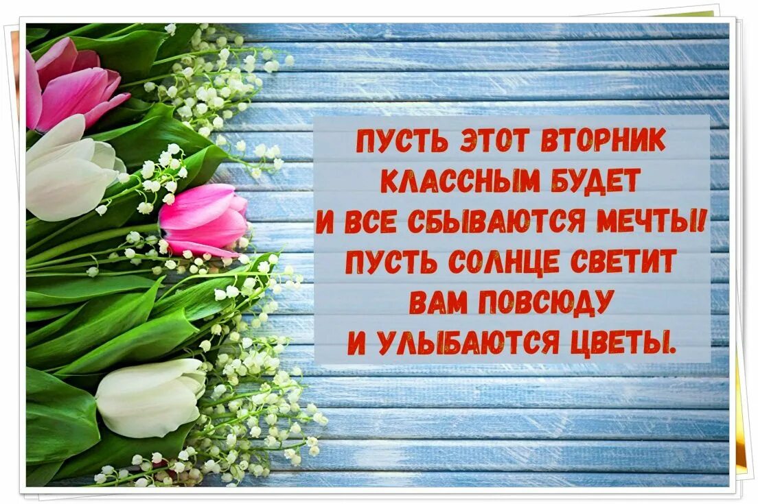 Поздравление со вторником. Пожелания на вторник. Поздравления со вторником прикольные. Пожелание доброго вторника. Забудь и сбудется