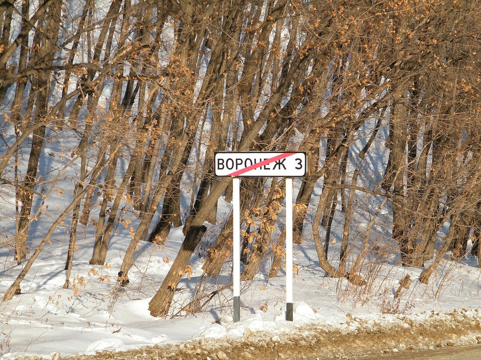 Погода алтайского края мичуринское. Мичуринское сельское поселение Хабаровский край. Хабаровск село Воронежское. Воронежская 3 Хабаровск. Мичуринское сельское поселение границы Хабаровский край.