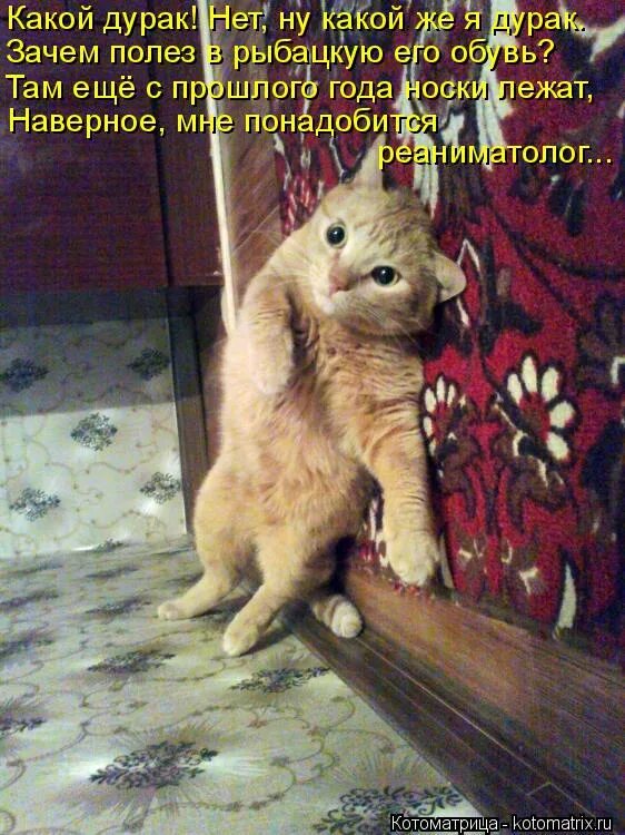 Зачем полез