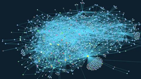 Network weights