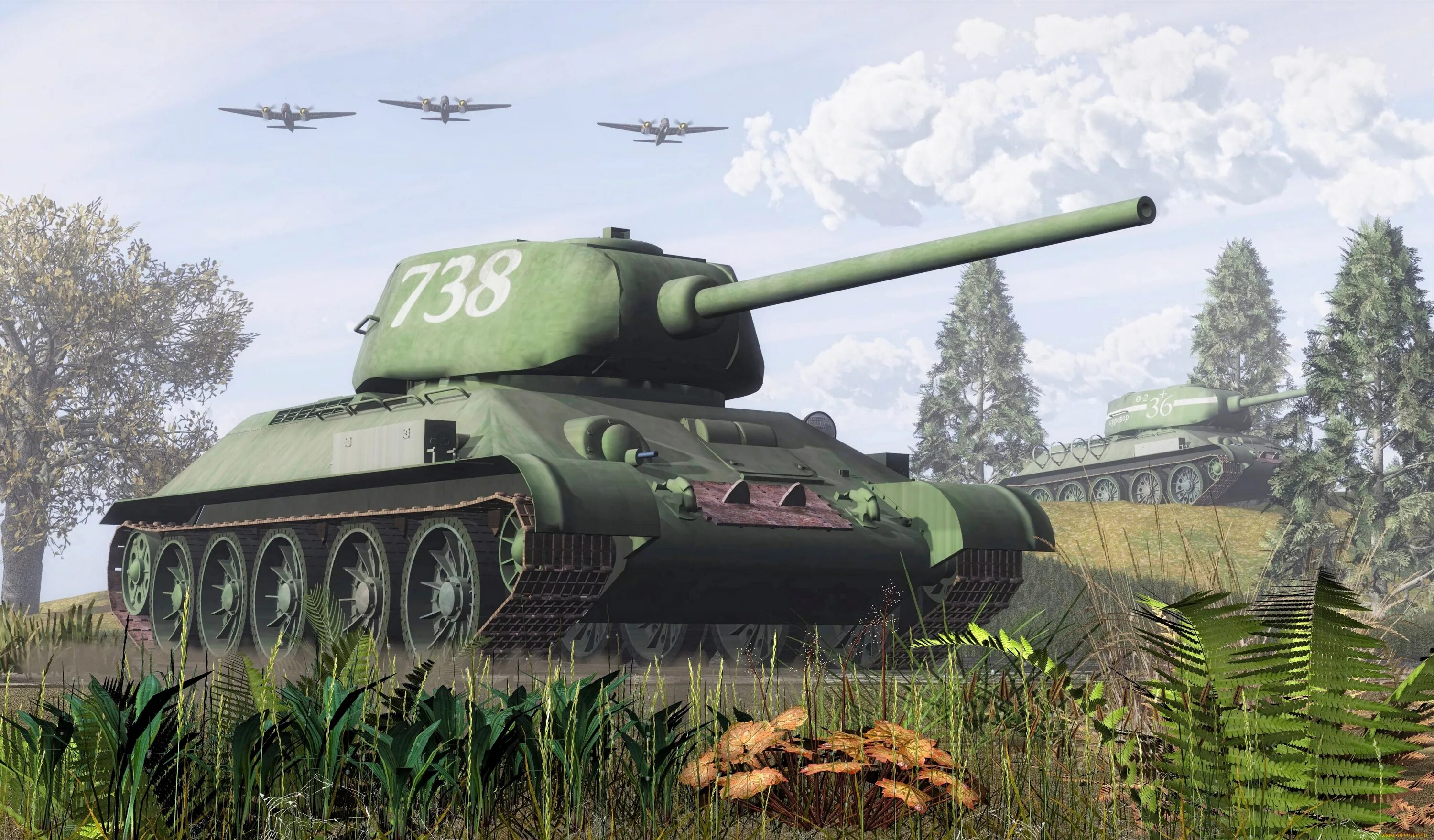T 1 cg