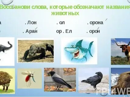 Как называют зверя которого