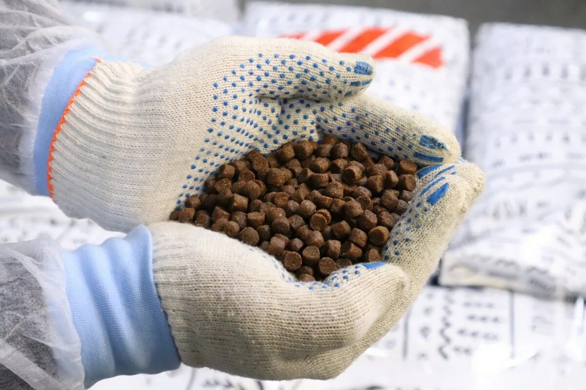 Наживка aquaculture. Корм для рыбоводство. Скреттинг корм для форели. Наживка aquaculture. Корма для аквакультуры.